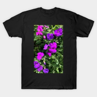 Joy of the Violet T-Shirt